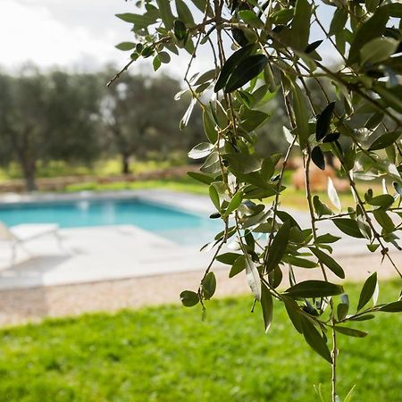 Bed and Breakfast Dimora La Scaledda Serranova Exterior foto